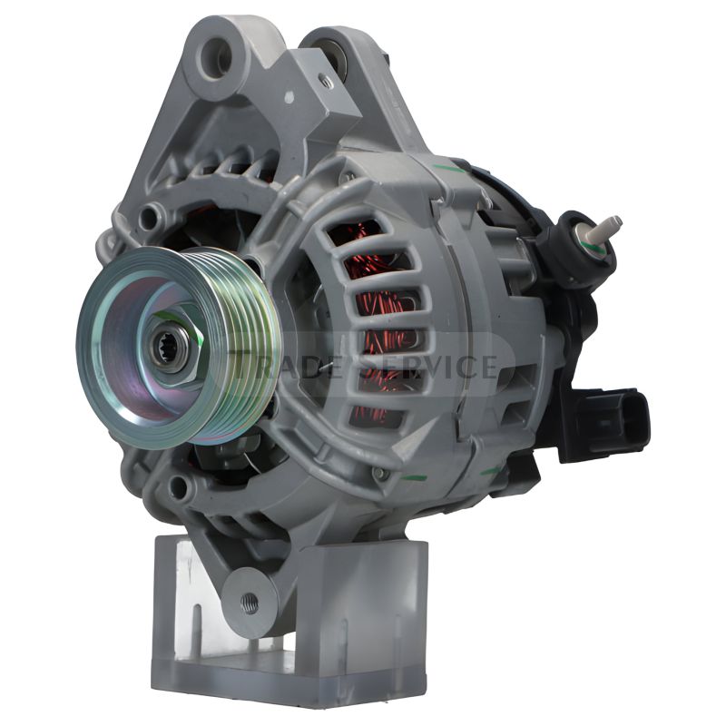 0124225051 SEG Generator