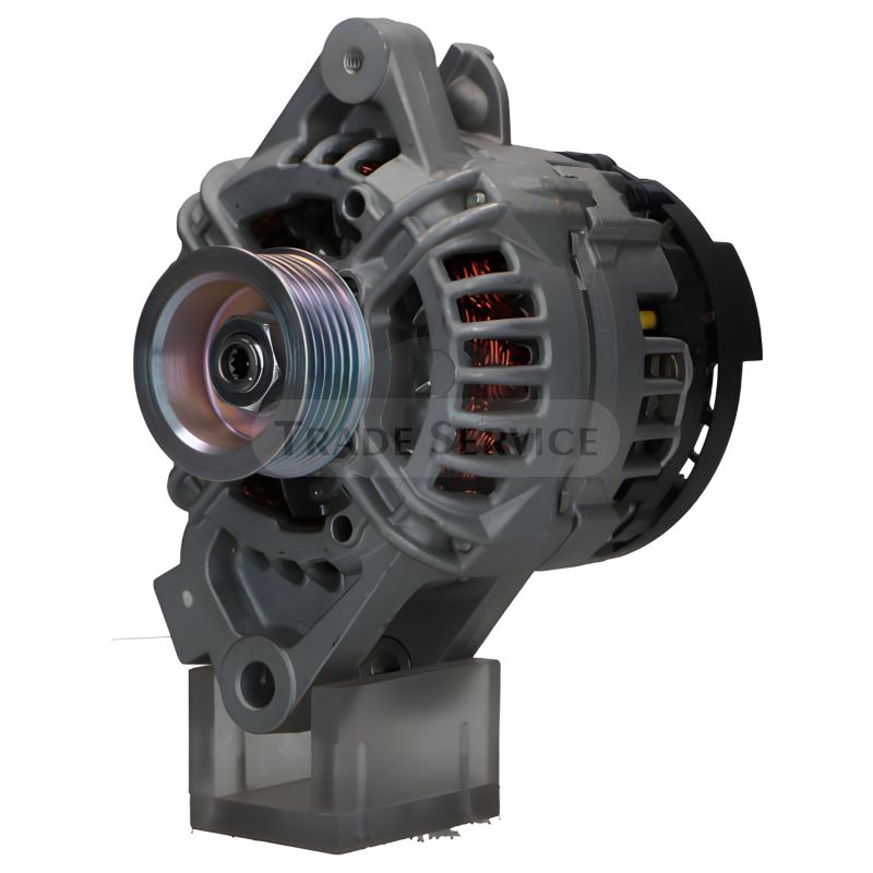 0124225052 SEG Generator