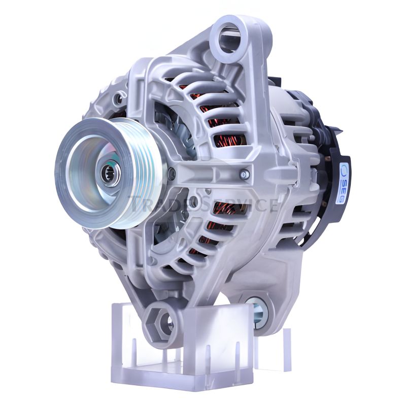 0124325069 SEG Generator