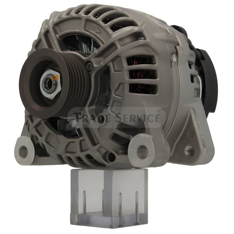 0124525585 SEG Generator