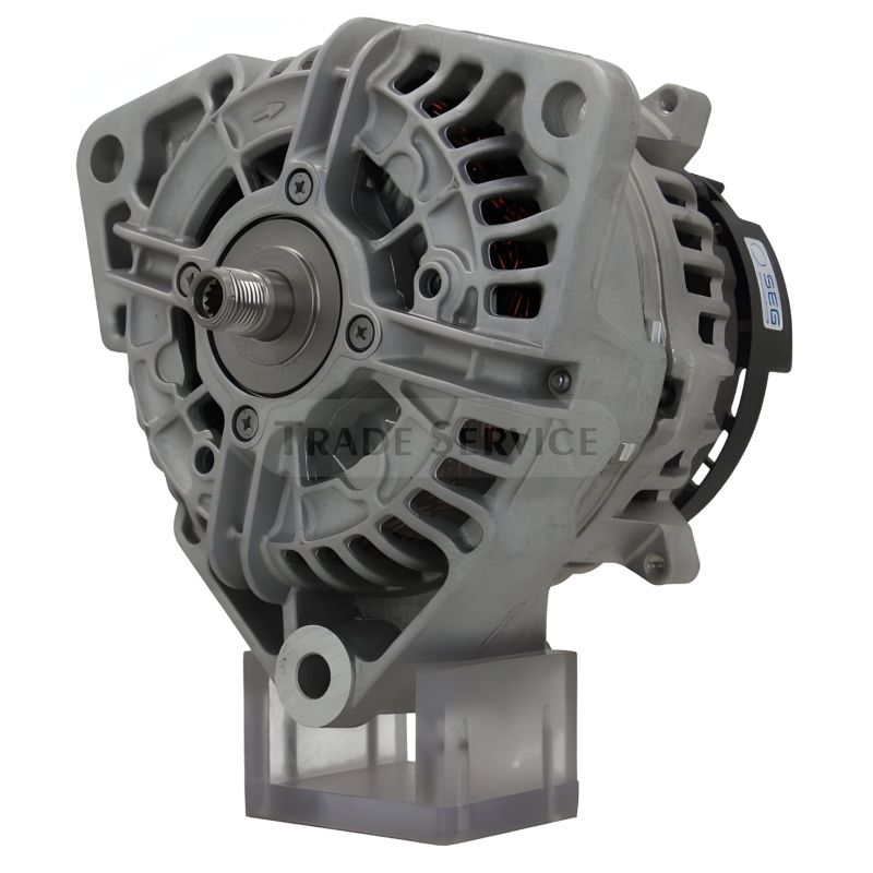 0124555139 SEG Generator