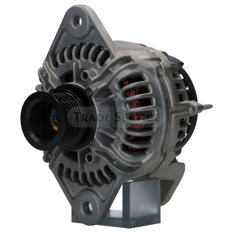 0124655445 SEG Generator