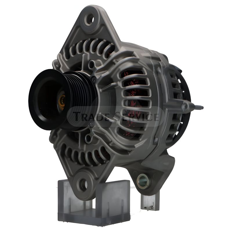 0124655465 SEG Generator