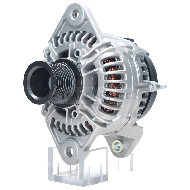 0124655857 SEG Generator