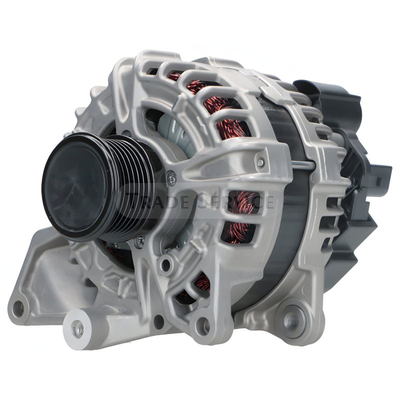 0125711163 SEG Generator