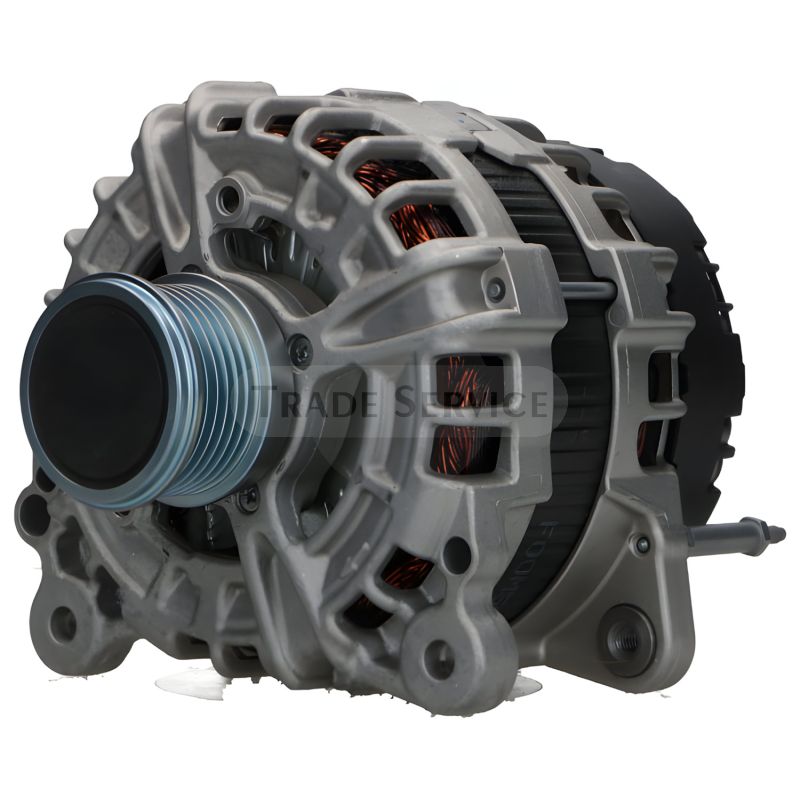 0125812189 SEG Generator