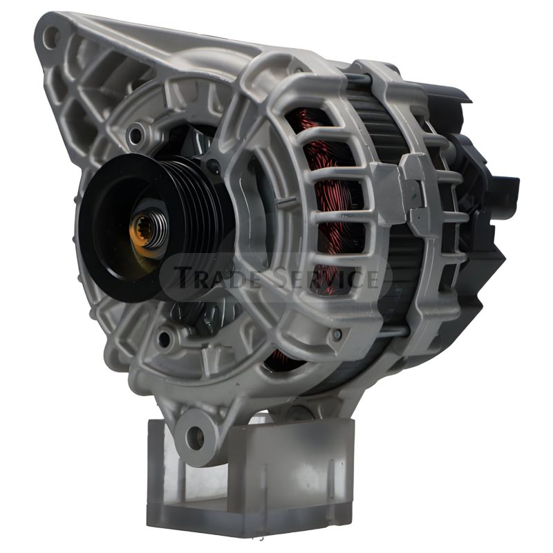 0125813033 SEG Generator