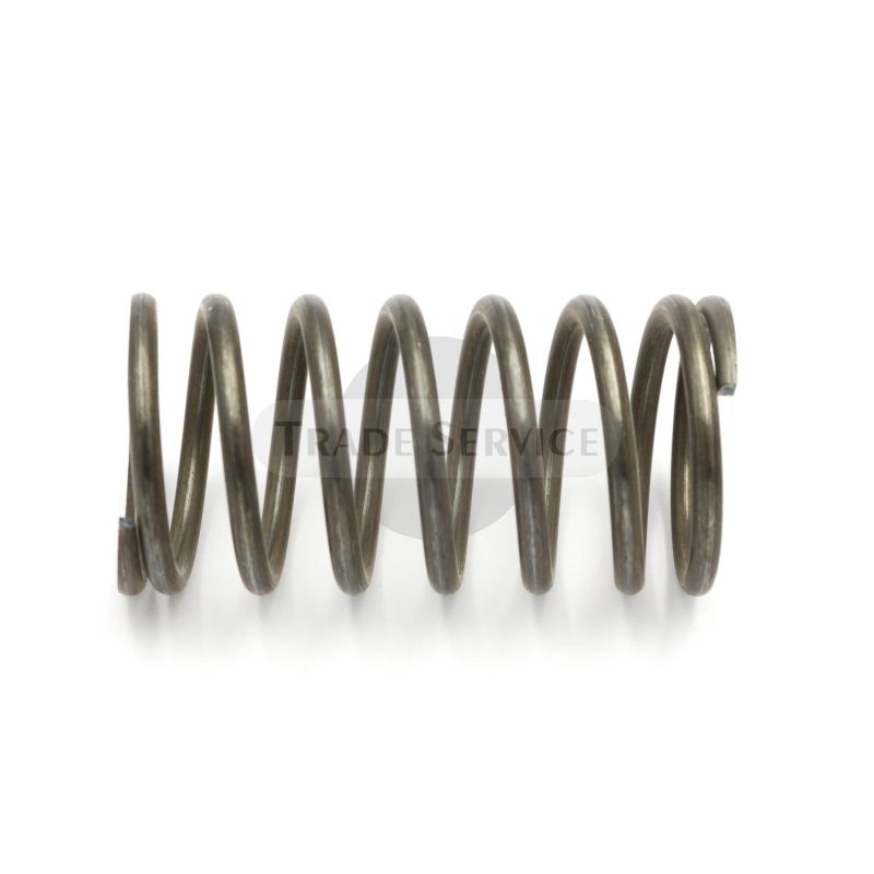 05015 Ventilfeder 2S90A