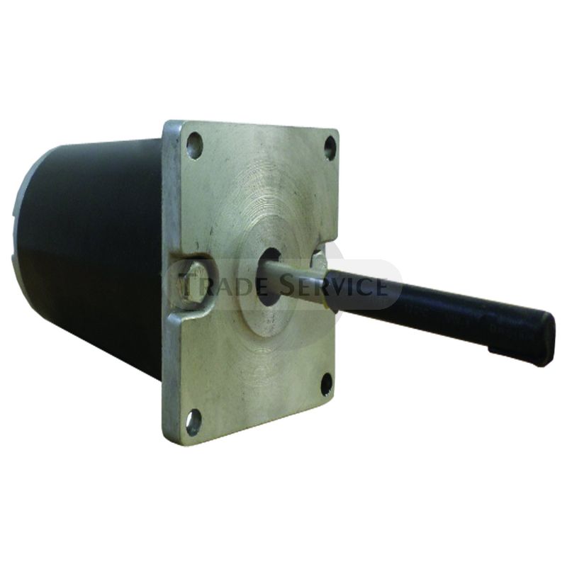 10717N WAI DC-Motor