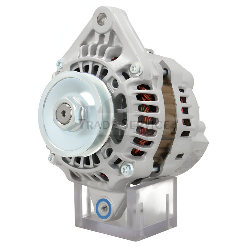 A7TCA171 / A007TCA171 (AM) Mitsubishi Electric Generator