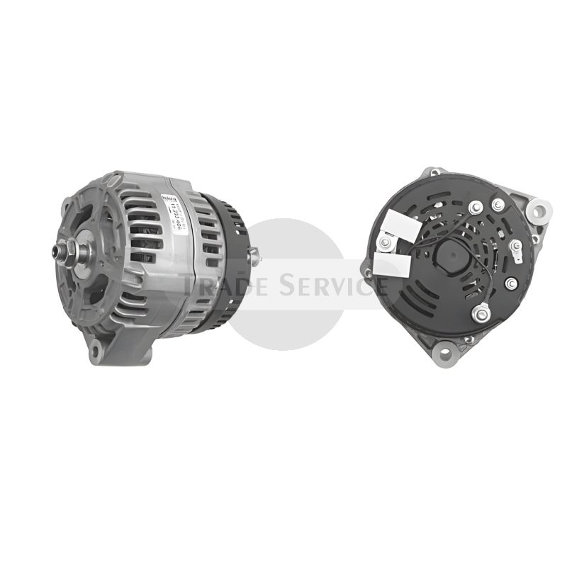 11.204.160 AAN5319 MG569 MAHLE (Letrika, Iskra) Generator (11204160)