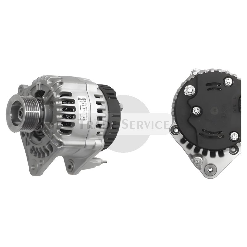 11.203.310 AAK5541 MG295 MAHLE (Letrika, Iskra) Generator (11203310)