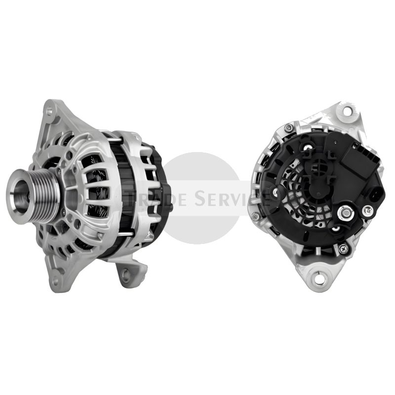 11.209.670 AAL5130 MG1069 MAHLE (Letrika, Iskra) Generator (11209670)