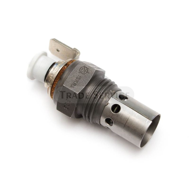 11.720.303 glow plug (11720303)