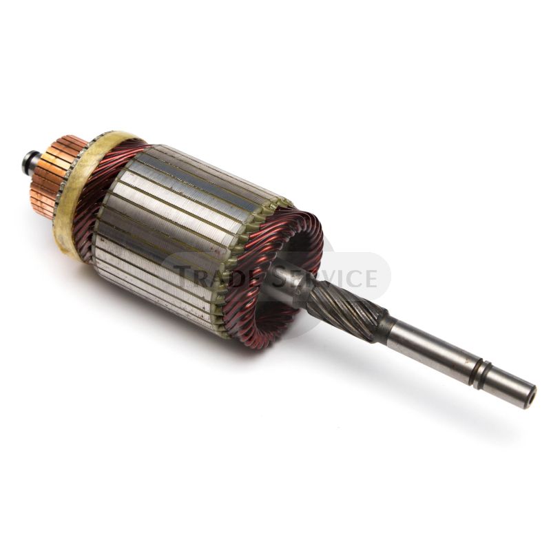 16.360.298 MSX244 Rotor AZJ 24V 3,2kW (16360298)