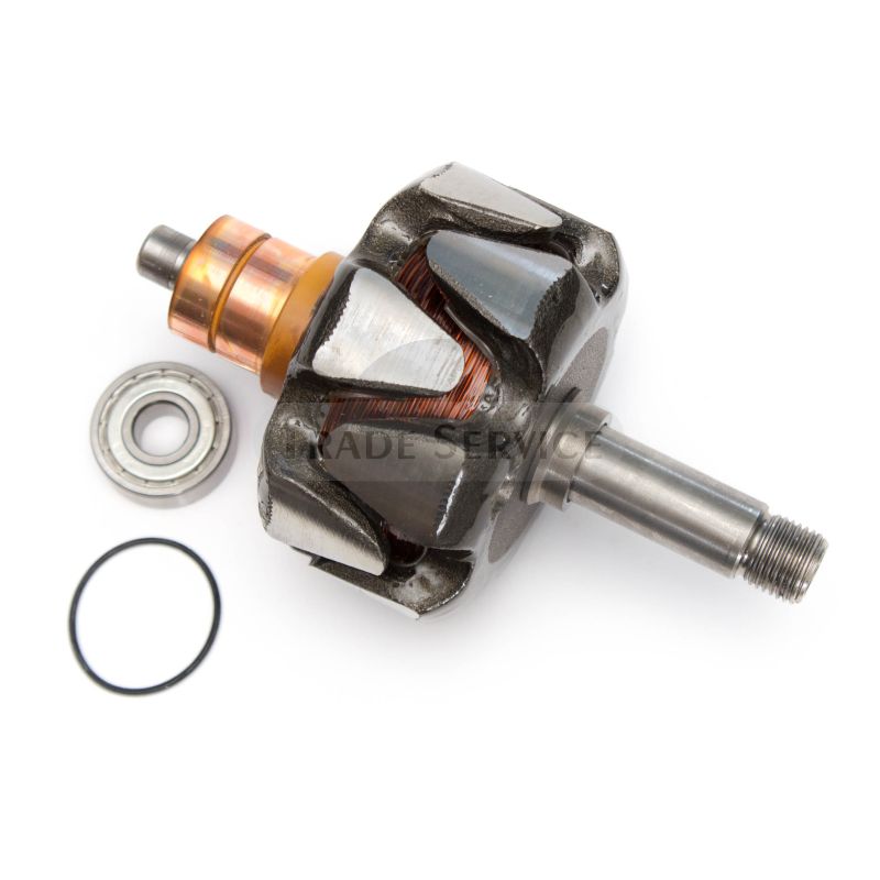 16.905.841 MAHLE (Letrika, Iskra) Rotor (16905841)