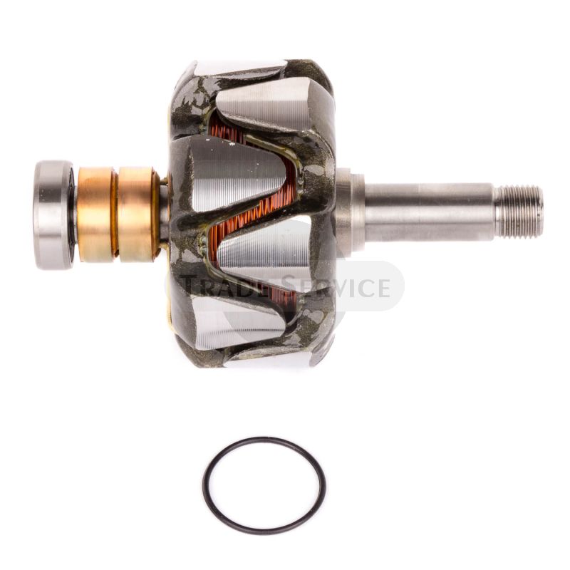 16.905.977 MGX16 MAHLE (Letrika, Iskra) Rotor (16905977)