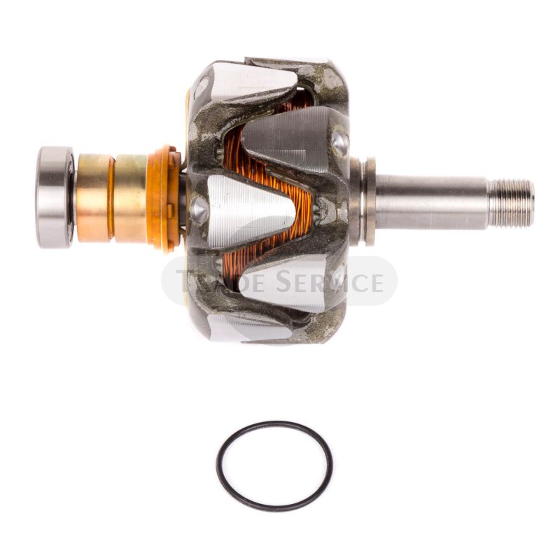 16.906.847 MGX1111 MAHLE (Letrika, Iskra) Rotor (16906847)