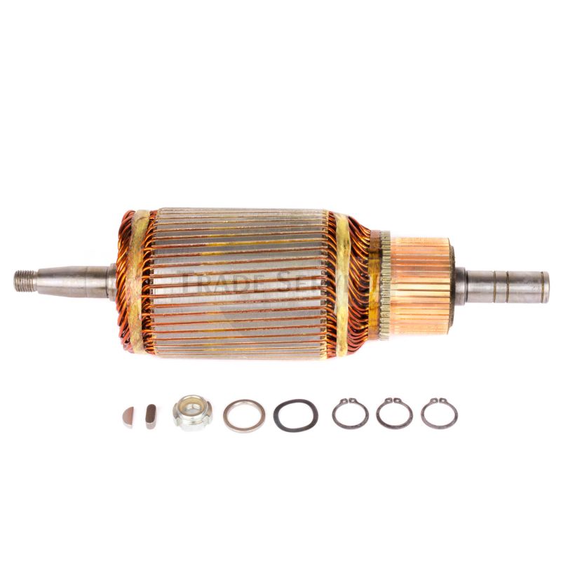 16.908.415 MMX199 MAHLE (Letrika, Iskra) Anker (16908415)