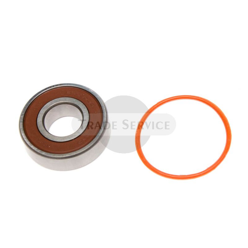 16.915.145 MGX836 MAHLE (Letrika, Iskra) Lager (16915145)