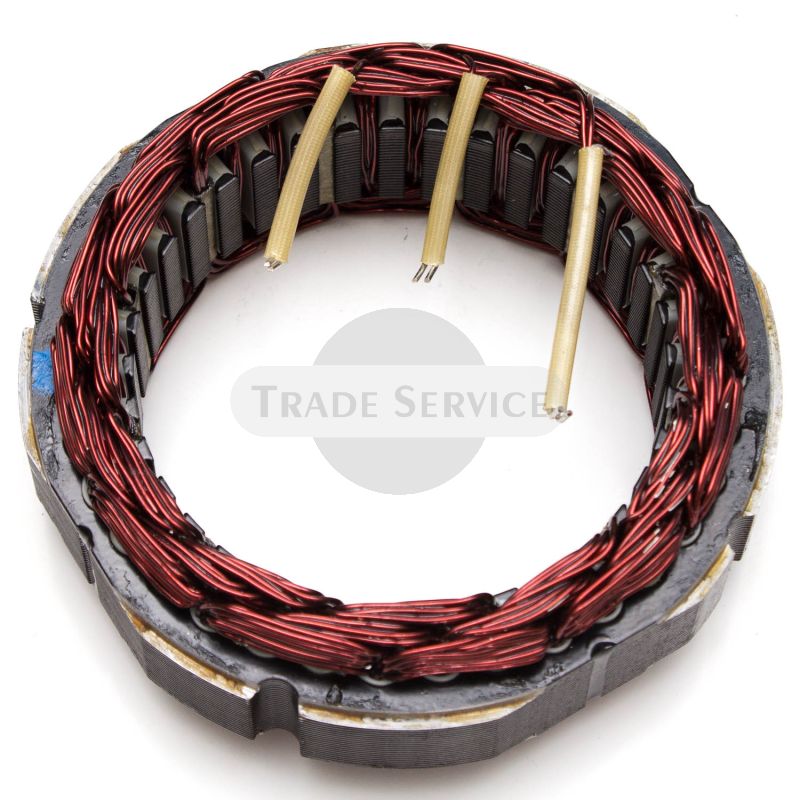 137991 Stator LIAZ