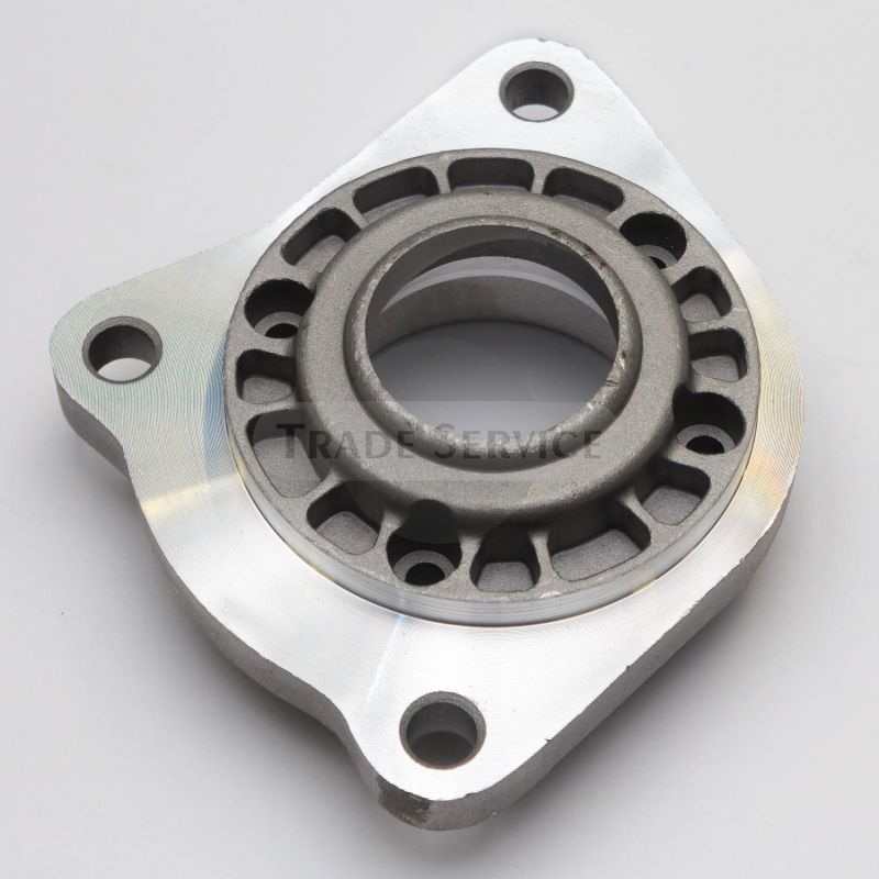TSP3103003 Antriebslagerdeckel
