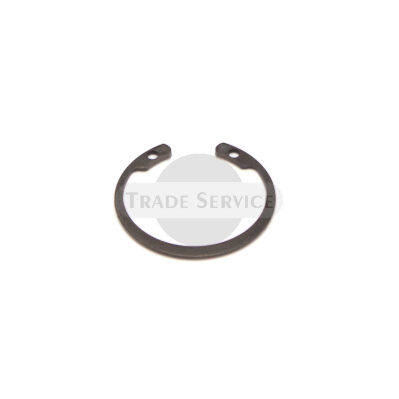 01014 TZ4K Seegerring