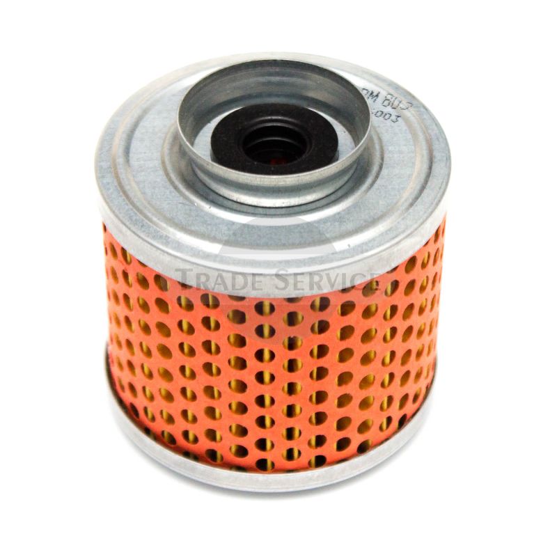 FPM803 TZ4K Kraftstofffilter (25013)