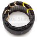 137921 Stator /9515112, 9516590, 9516591/