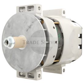 8600338 Remy Generator