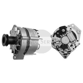 11.209.411 AAN3102 MG457 MAHLE (Letrika, Iskra) Generator (11209411)