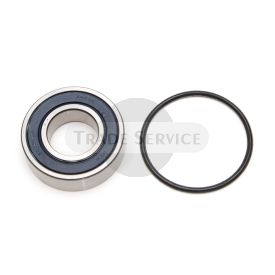 16.908.609 MGX684 MAHLE (Letrika, Iskra) Lager (16908609)