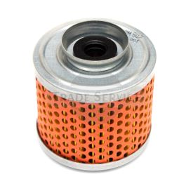 FPM803 TZ4K Kraftstofffilter (25013)