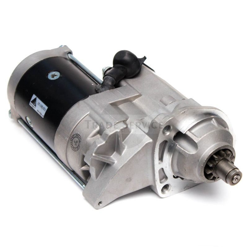 15130031 AES Anlasser