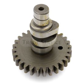 1010060 H Nockenwelle LDA820 Aftermarket