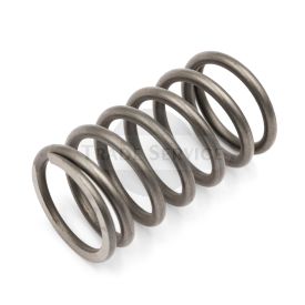 5755004 H Ventilfeder LDA820 Aftermarket