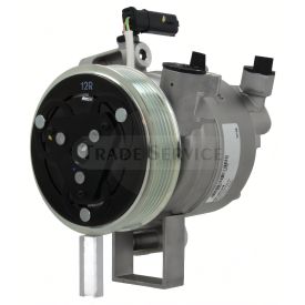 C813184M-IAM Valeo Klimakompressor