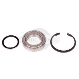 16.907.383 MSX481 MAHLE (Letrika, Iskra) Lager (16907383)