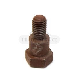 07805 TZ4K Halterbolzen