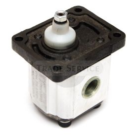 700221A hydraulische Pumpe 2S95A