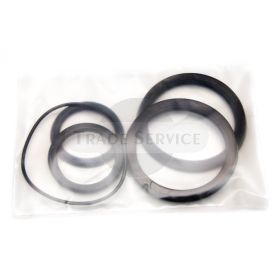 TZ4KH60/32 TZ4K für Typ alt hydraulischer Zylinder Erneuerungssatz